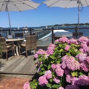 Meet your Posher, Kenzie